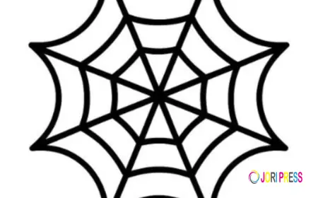 The Perfect Blend of Edge and Ease: Sp5der Hoodie Fashion