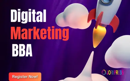 BBA in Digital Marketing | Build Your Career with BBA in Digital Marketing Haryana