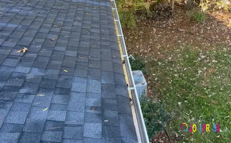 Reliable Gutter Cleaning Charlotte NC | Kings Cleaning Solutions