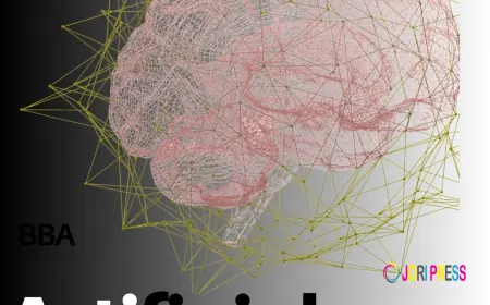 BBA in Digital Marketing in Haryana | Build Your Career in the Digital Era