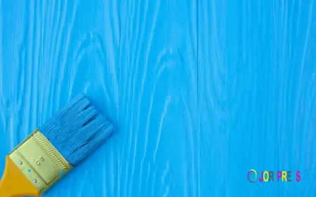 Why Washable Paint is the Smart Choice for Modern Homes