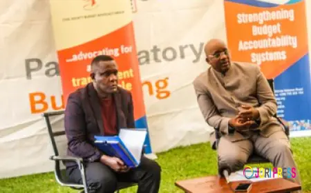 CSOs calls for fiscal discipline, inclusive growth despite positive S&P Global report.