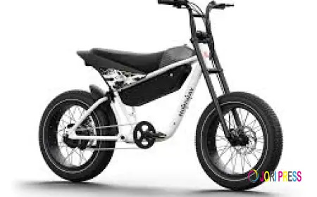 Turn Every Beach Day into an Adventure with New Electric Bikes for Sale in Venice Beach