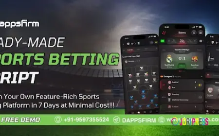 Quick Start Guide for Visionary Entrepreneurs Using Ready-Made Sports Betting Script