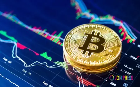 Crypto Exchange Development in Hanoi: Shaping the Next Era of Digital Trading