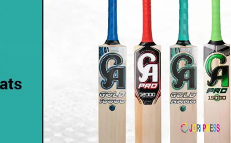 CA Cricket Bats – Power, Precision, and Reliability at Cricketer Point