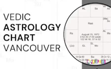 Vedic Astrology Chart Explained by Universal Soul Healing