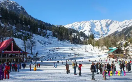 Himachal Honeymoon Tour Packages – A Romantic Escape to the Mountains with Musafir Go India