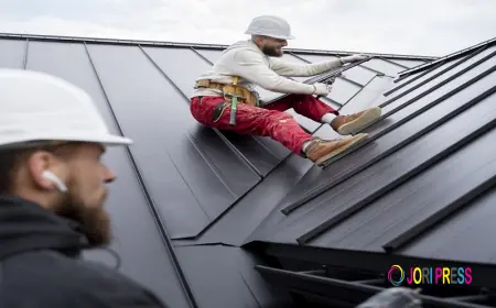 City Home Painting Elevates Homes with Quality Roof Painting in Melbourne