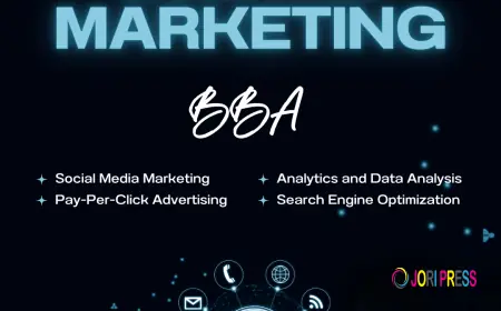 BBA in Digital Marketing Haryana | Best Digital Marketing Degree at NIILM University
