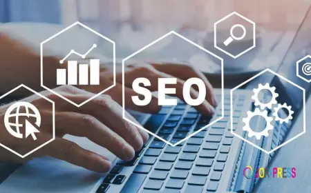 SEO Company in Lahore | Expert SEO Services for Growth