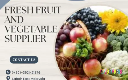What Makes a Fresh Fruit and Vegetable Supplier Exceptional?