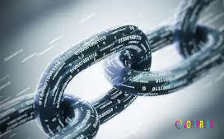 Why Rio de Janeiro Is Turning Toward Modern Blockchain Development in 2025