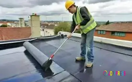 Roof Waterproofing: The Ultimate Guide to Protecting Your Home and Building