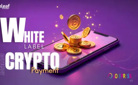 Why Crypto Payments Matter for Your Business and How a White-Label Gateway Supports You