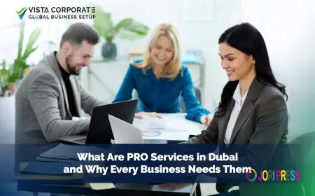 What Are PRO Services in Dubai and Why Every Business Needs Them