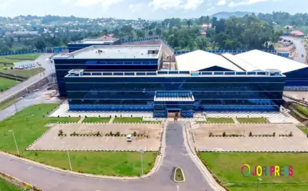 Dei Biopharma establishes a state-of-the -art US$50M cassava processing unit in Kamuli.