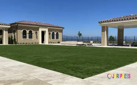 Make Your Lawn Beautiful with Turf Green Pro