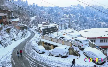 Delhi to Shimla Taxi Fare