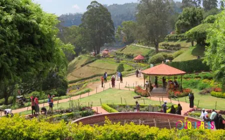 Bangalore to Ooty Taxi Booking