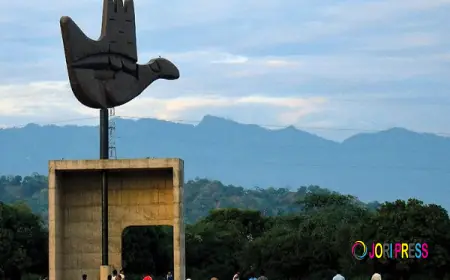 Taxi Service In Chandigarh