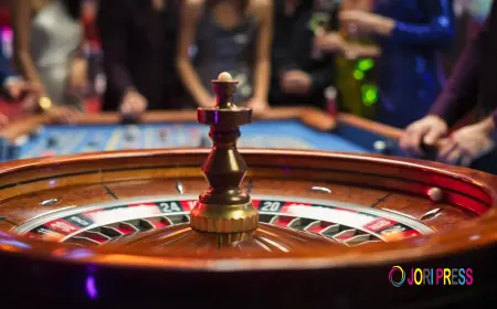 Kabook – Your Trusted Platform for Online Cricket IDs in India