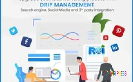 Top Drip Marketing Systems to Automate Customer Engagement | Office24by7