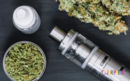 The Evolution of Disposable Vaporization: A Smarter Way to Enjoy Premium Cannabis