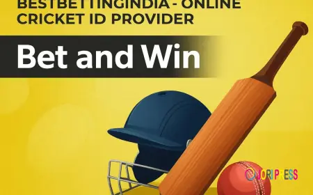 Bestbettingindia: Fast Online Cricket ID Provider Access