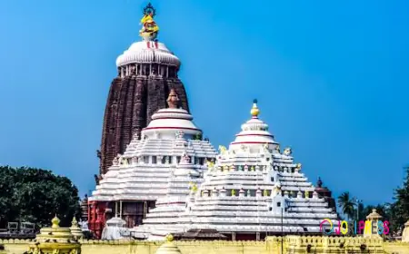 Taxi Service in Puri