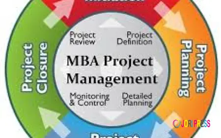 Why Pursue an MBA in Project Management? Skills, Job Roles, and Industry Growth