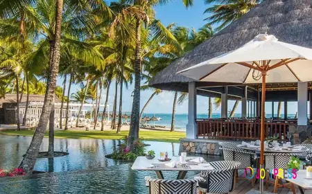 Mauritius Internships: Your Gateway to Global Work Experience in Paradise