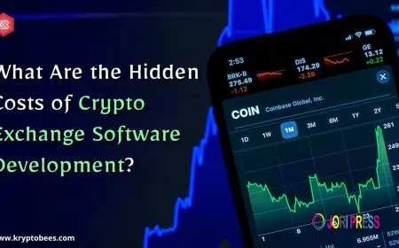 What Are the Hidden Costs of Crypto Exchange Software Development?