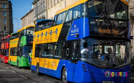 Step-by-Step Guide to Finding Reliable Bus Tours Services