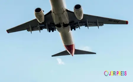 Alaska Airlines Pet Policy – Pet Connect Cargo