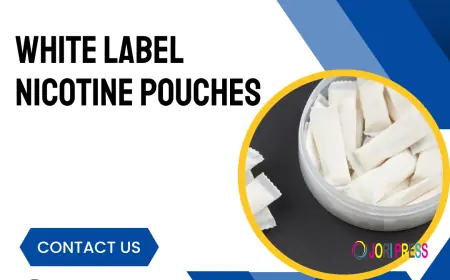 White Label Nicotine Pouches Manufacturing | Custom B2B Solutions