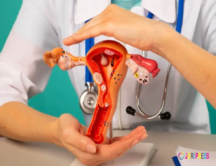 IVF Specialist in Beawar for Expert and Supportive Fertility Treatment