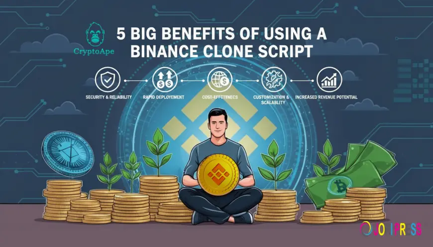 5 Big Benefits of Using a Binance Clone Script for Your Exchange Platform