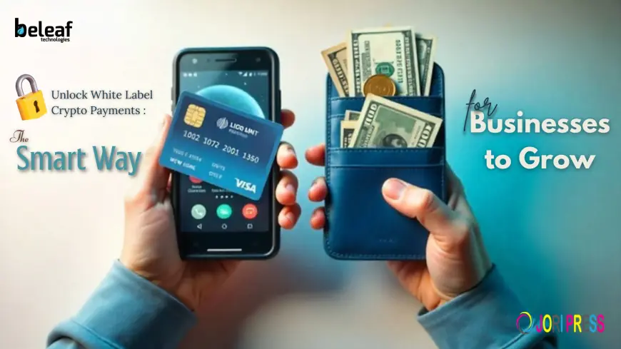 What’s Stopping Businesses from Accepting Crypto Payments and Can White Label Gateways Help?