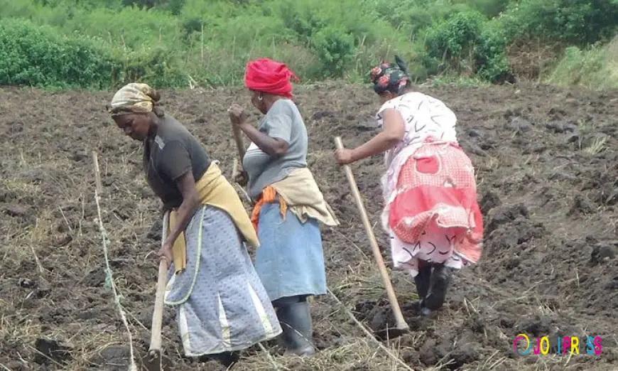 Escaping Poverty: One Woman’s Struggle and the Path to Quick Financial Success