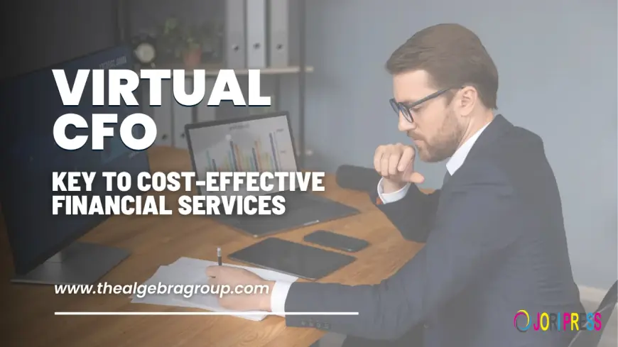 What is a Virtual CFO and Why Does Your Business Need One?