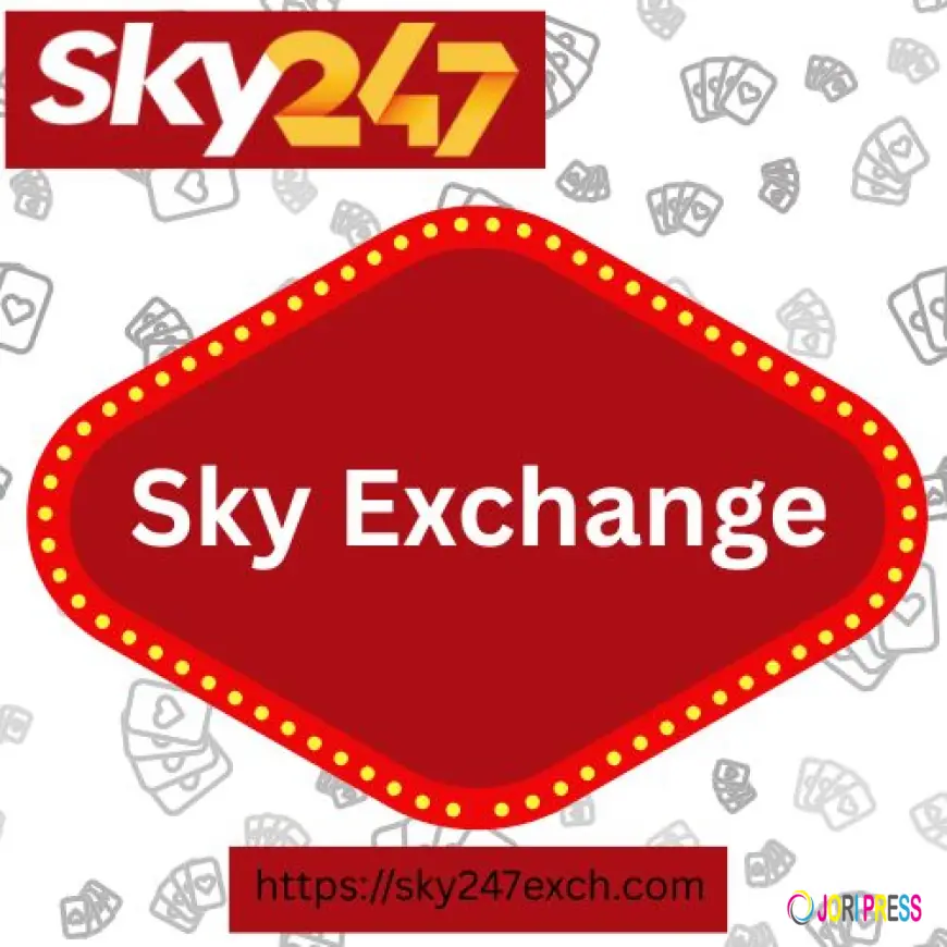 What Is Sky Exchange? Complete Guide for Beginners