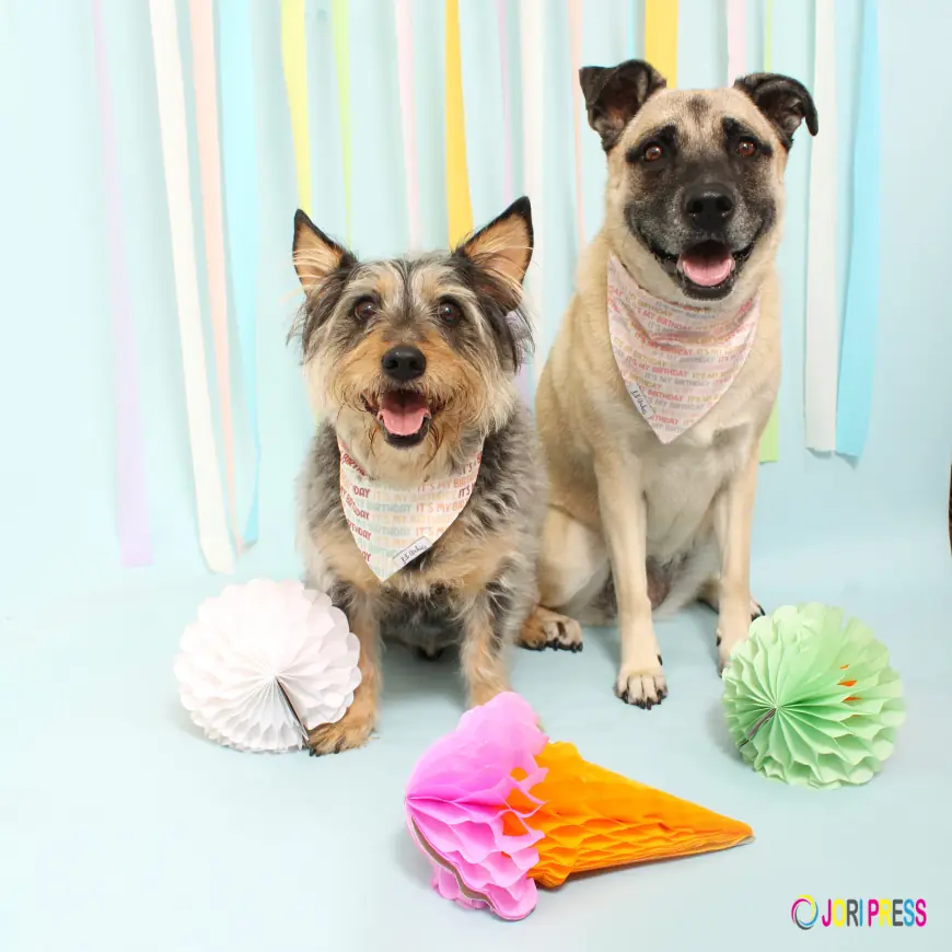 Dog Birthday Neckerchief