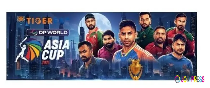 Tiger365 Pro online – Unleash the Power of Real Gaming!