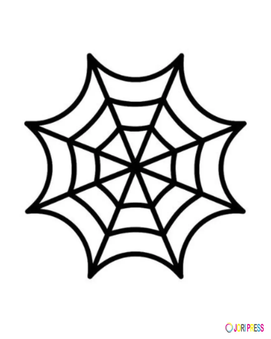 The Perfect Blend of Edge and Ease: Sp5der Hoodie Fashion