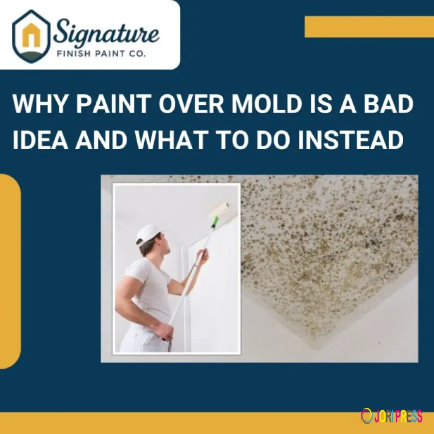Why You Should Never Paint Over Mold and the Right Way to Fix It