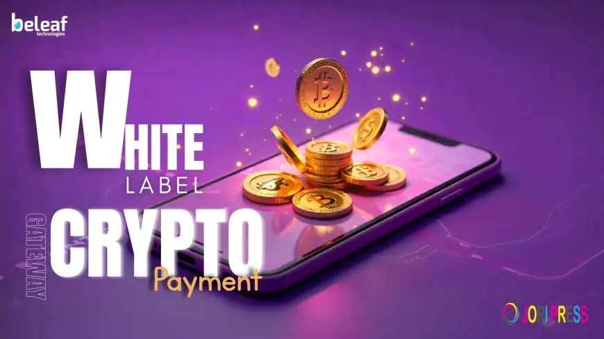 Why Crypto Payments Matter for Your Business and How a White-Label Gateway Supports You