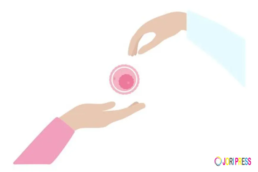 Egg Donation Eligibility: Who Can Donate and What You Need to Know