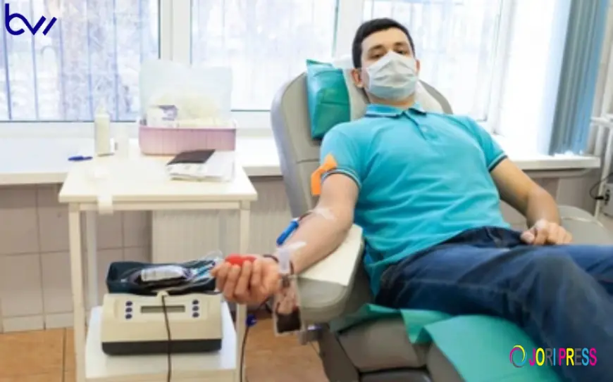 Yes, Males Can Donate Bone Marrow: Full Breakdown | Best Writes