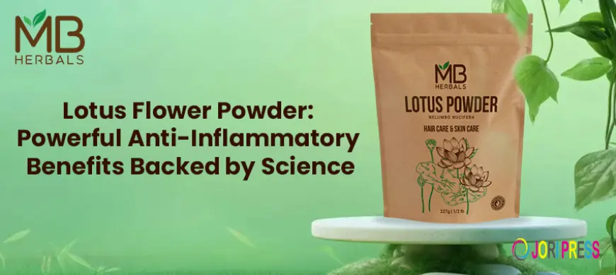 Lotus Flower Powder: Powerful Anti-Inflammatory Benefits Backed by Science